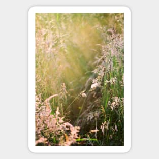 Summer Afternoon in a Meadow Sticker